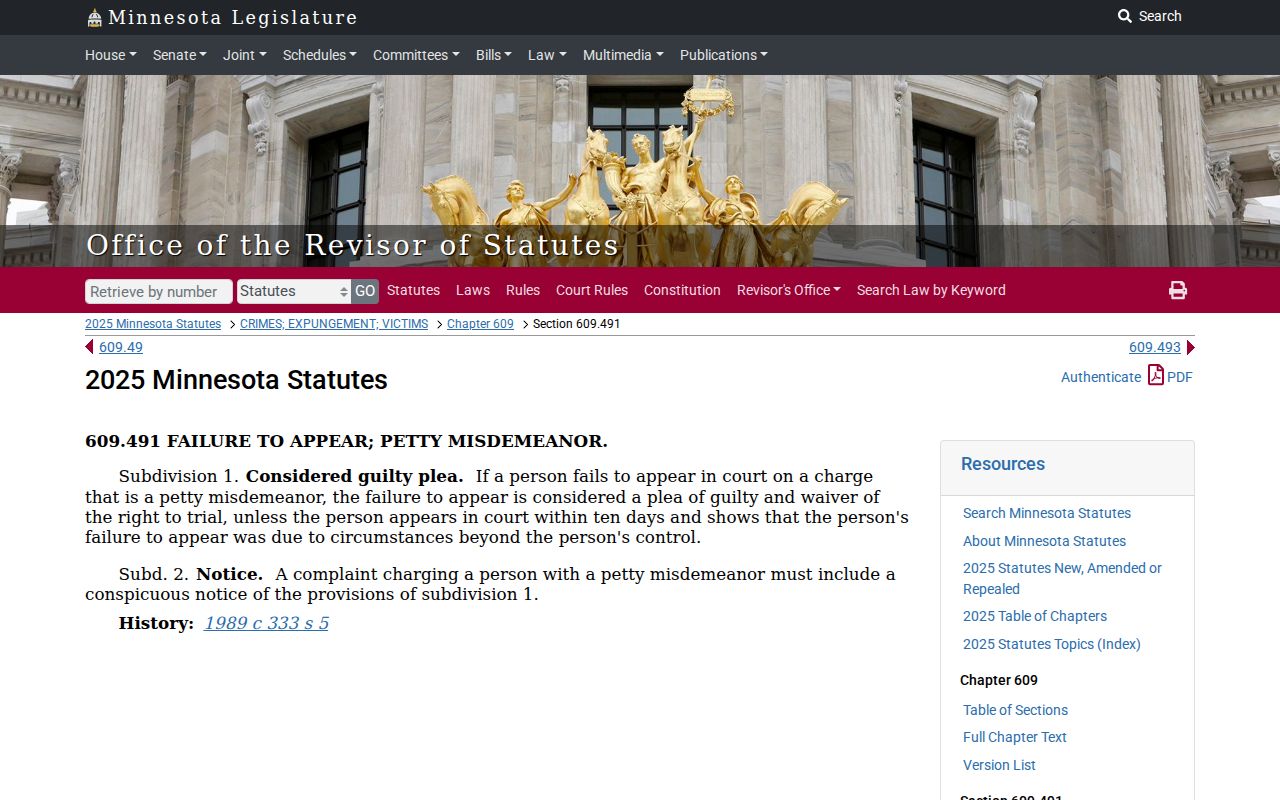 Le Sueur County court calendar petty misdemeanor appearance source